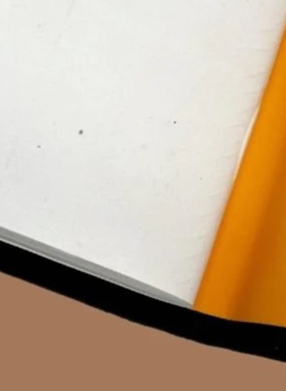 Customer photo review of Earth Element Refillable Stone Leather Journal