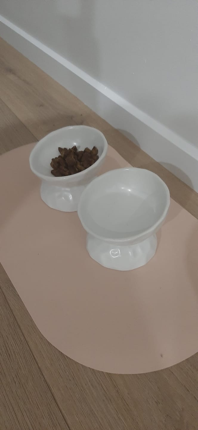 Customer photo review of Tilting Ceramic Cat Bowls With Uneven Texture