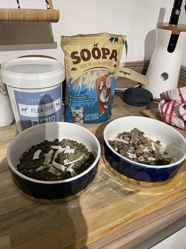 Customer photo review of Grain-Free Lamb with Sweet Potato & Mint