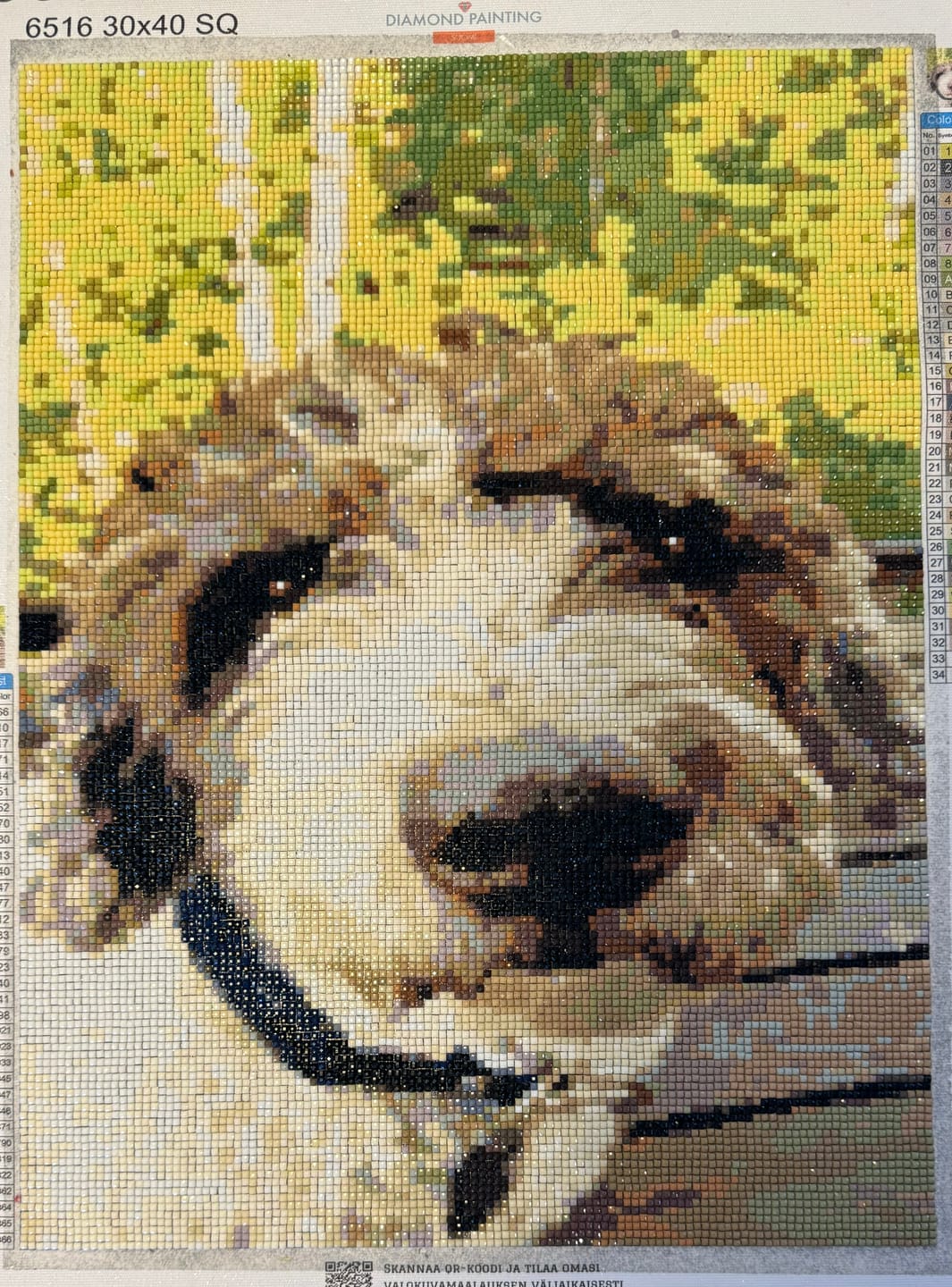 Customer photo review of Oma Kuva Timanttimaalaus Diamond Painting
