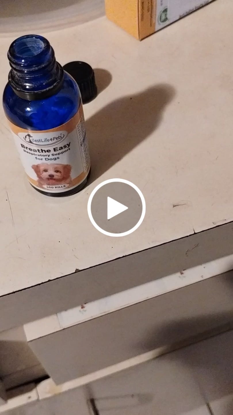 Customer video review of Breathe Easy for Dogs - Respiratory Support and Kennel Cough Remedy