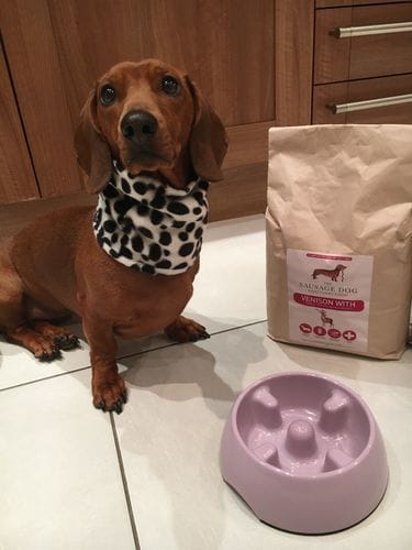 Customer photo review of Grain-Free Venison with Mulberry & Sweet Potato