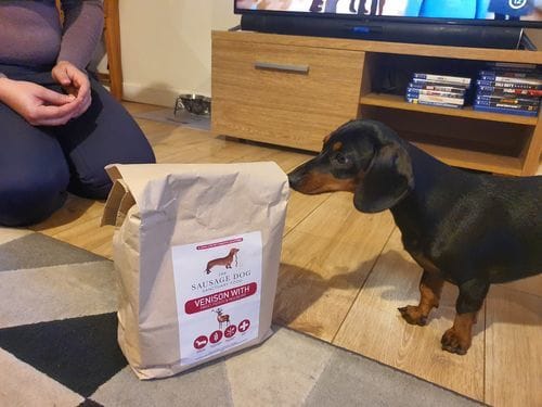 Customer photo review of Grain-Free Venison with Mulberry & Sweet Potato
