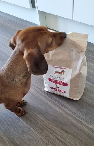 Customer photo review of Grain-Free Venison with Mulberry & Sweet Potato