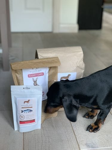 Customer photo review of Grain-Free Duck with Sweet Potato & Orange (Small Kibble)