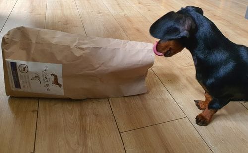 Customer photo review of Grain-Free Duck with Sweet Potato & Orange (Small Kibble)