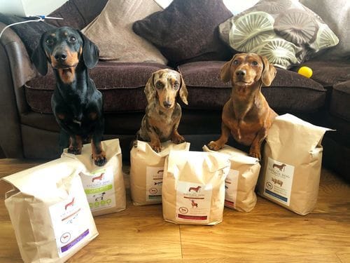 Customer photo review of Grain-Free Venison with Mulberry & Sweet Potato
