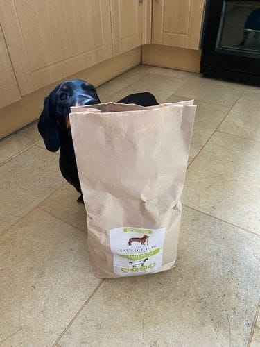 Customer photo review of Grain-Free Lamb with Sweet Potato & Mint