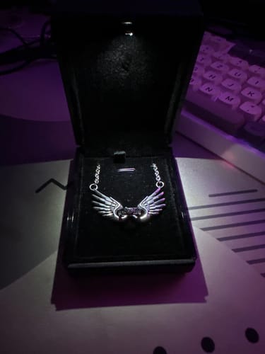 Customer photo review of The Ascendant