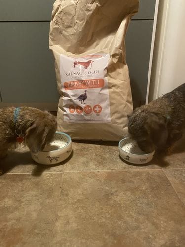 Customer photo review of Grain-Free Light Turkey with Sweet Potato & Cranberry