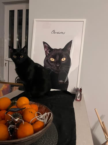 Customer photo review of Πορτραίτο Κατοικίδιου - Πόστερ χωρίς κάδρο