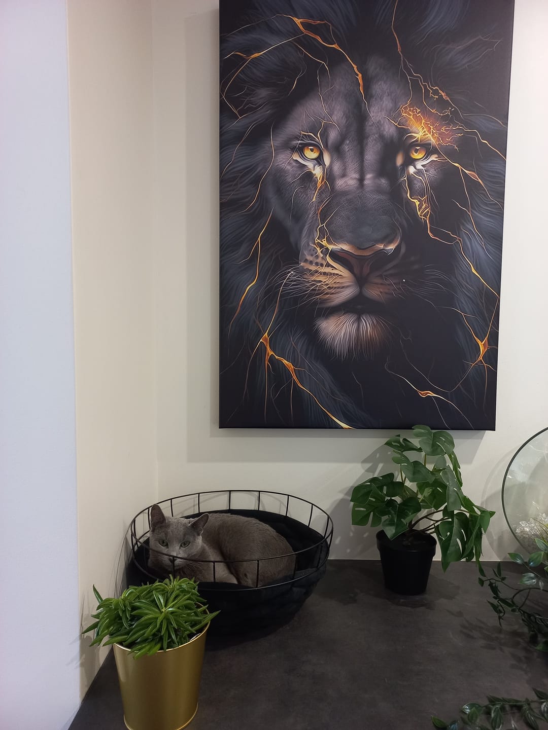 Customer photo review of Tableau Lion Noir et Or