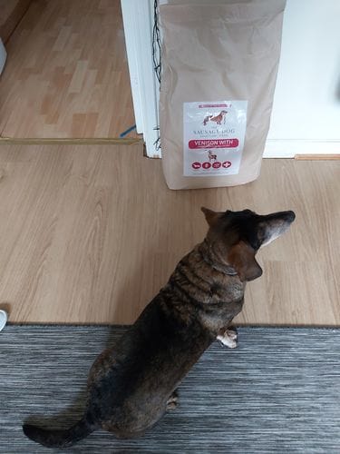 Customer photo review of Grain-Free Venison with Mulberry & Sweet Potato