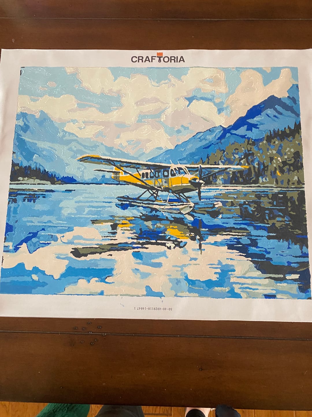 Customer photo review of Airplane Lake Landing