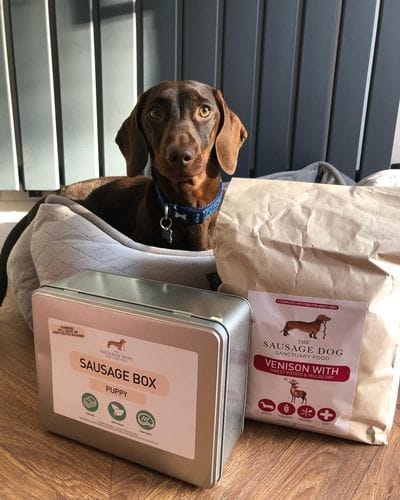 Customer photo review of Grain-Free Venison with Mulberry & Sweet Potato