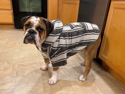 Customer photo review of Playa Poncho - Surprise Color