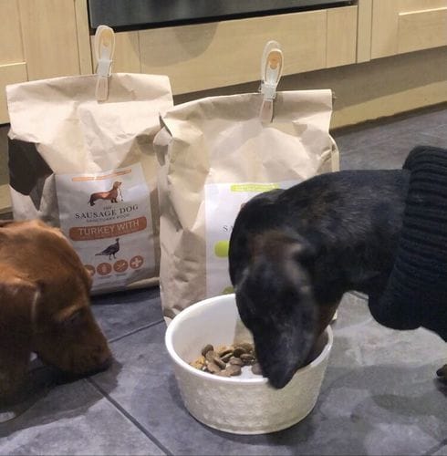 Customer photo review of Grain-Free Lamb with Sweet Potato & Mint