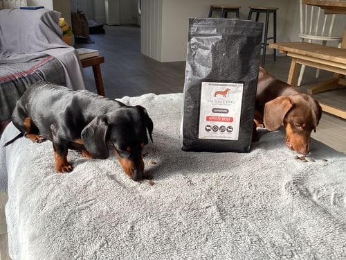 Customer photo review of Superfood Angus Beef with Carrot, Green Beans, Cauliflower, Tomato & Courgette (Small Kibble)