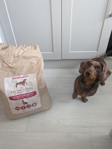 Customer photo review of Grain-Free Venison with Mulberry & Sweet Potato