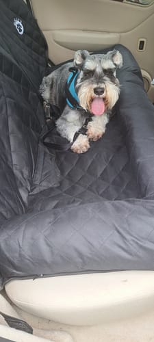 Customer photo review of Car Seat Cover