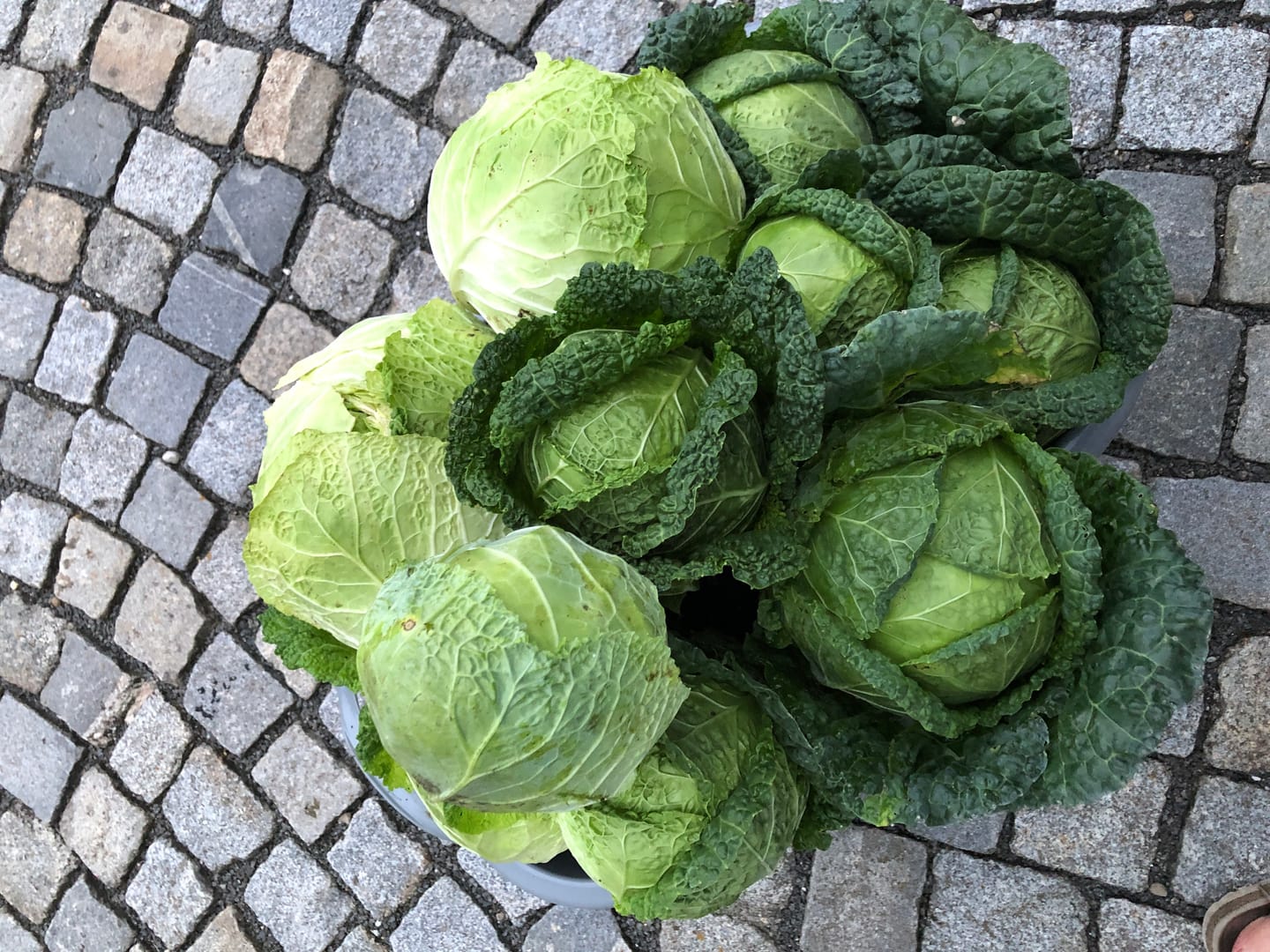 Customer photo review of Urgesteinsmehl zur Bodenverbesserung 10kg