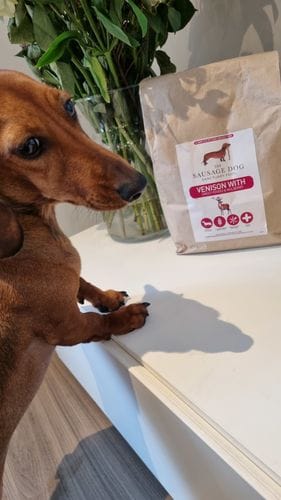 Customer photo review of Grain-Free Venison with Mulberry & Sweet Potato