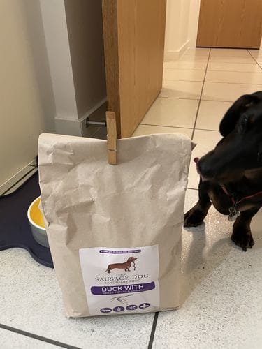 Customer photo review of Grain-Free Duck with Sweet Potato & Orange (Small Kibble)