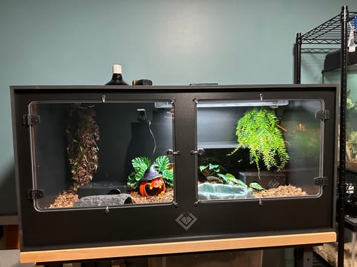 Customer photo review of XT4 BIO (48Lx24Dx24H) - STACKABLE