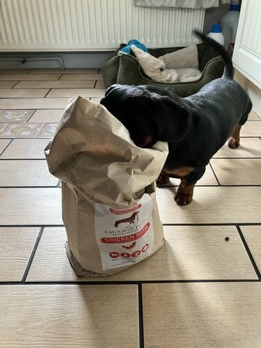 Customer photo review of Grain-Free Chicken with Sweet Potato & Herbs