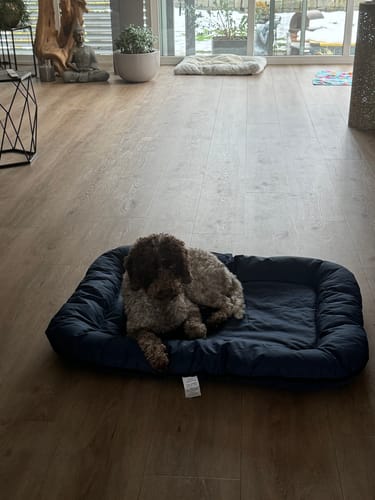 Customer photo review of Hundebett für Haustiere