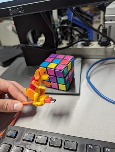 Customer photo review of Cavo di ricarica veloce per cani divertenti