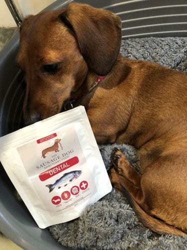 Customer photo review of Grain-Free Chicken with Sweet Potato & Herbs