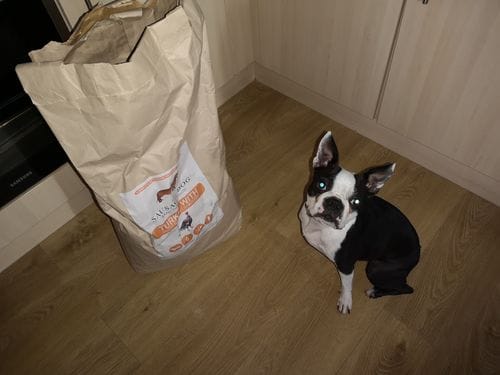Customer photo review of Grain-Free Light Turkey with Sweet Potato & Cranberry