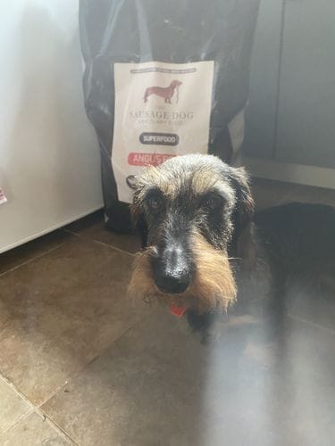 Customer photo review of Superfood Angus Beef with Carrot, Green Beans, Cauliflower, Tomato & Courgette (Small Kibble)