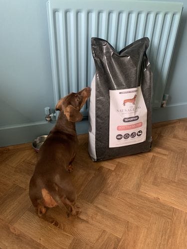 Customer photo review of Superfood Scottish Salmon with Dill, Spinach, Fennel, Asparagus & Tomato (Small Kibble)
