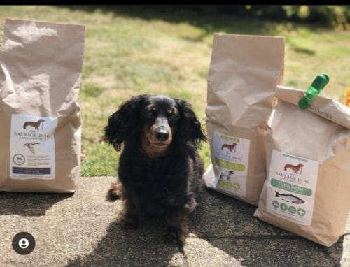 Customer photo review of Superfood Angus Beef with Carrot, Green Beans, Cauliflower, Tomato & Courgette (Small Kibble)