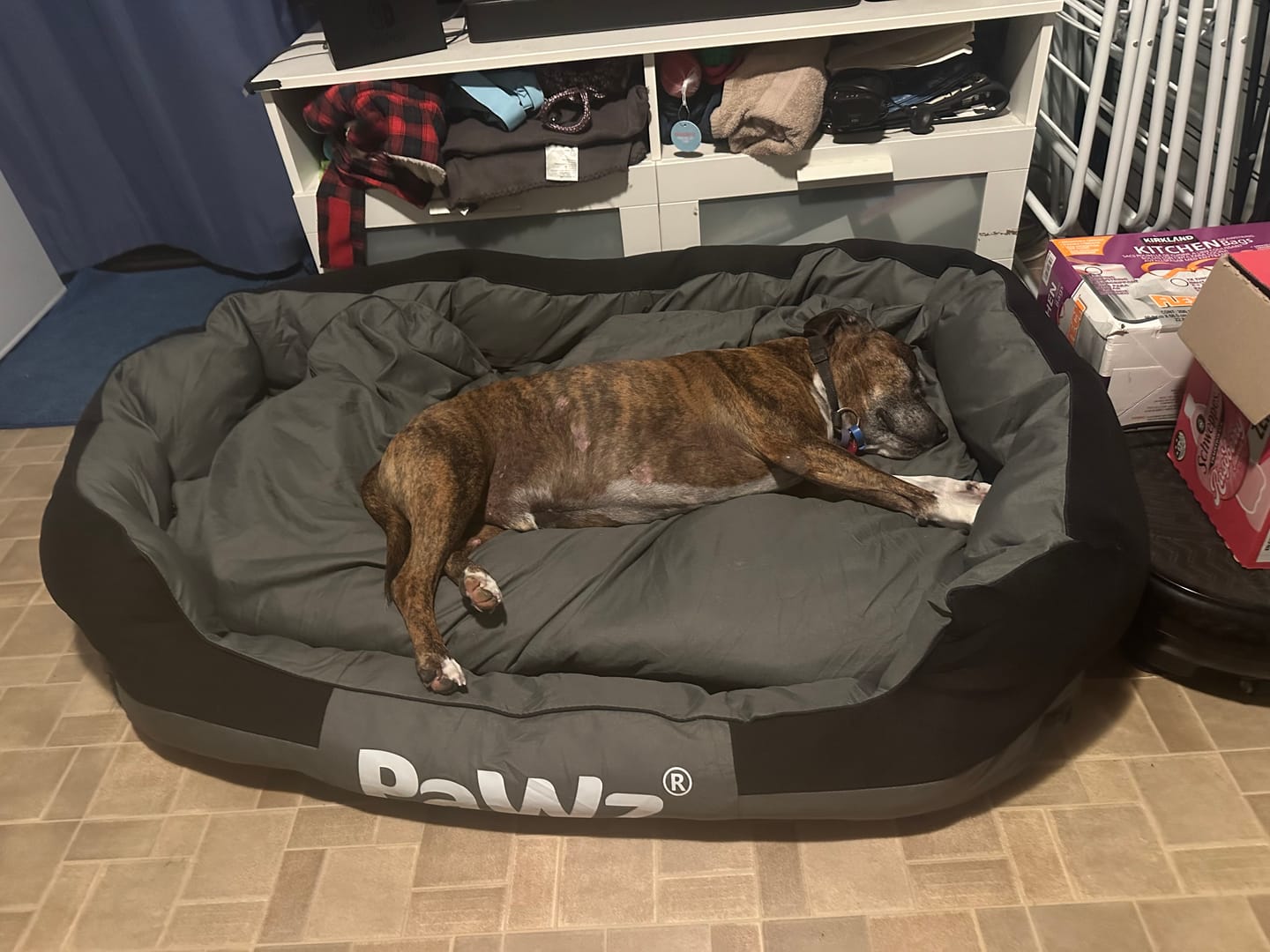 Customer photo review of PaWz waterproof heavy-duty bed
