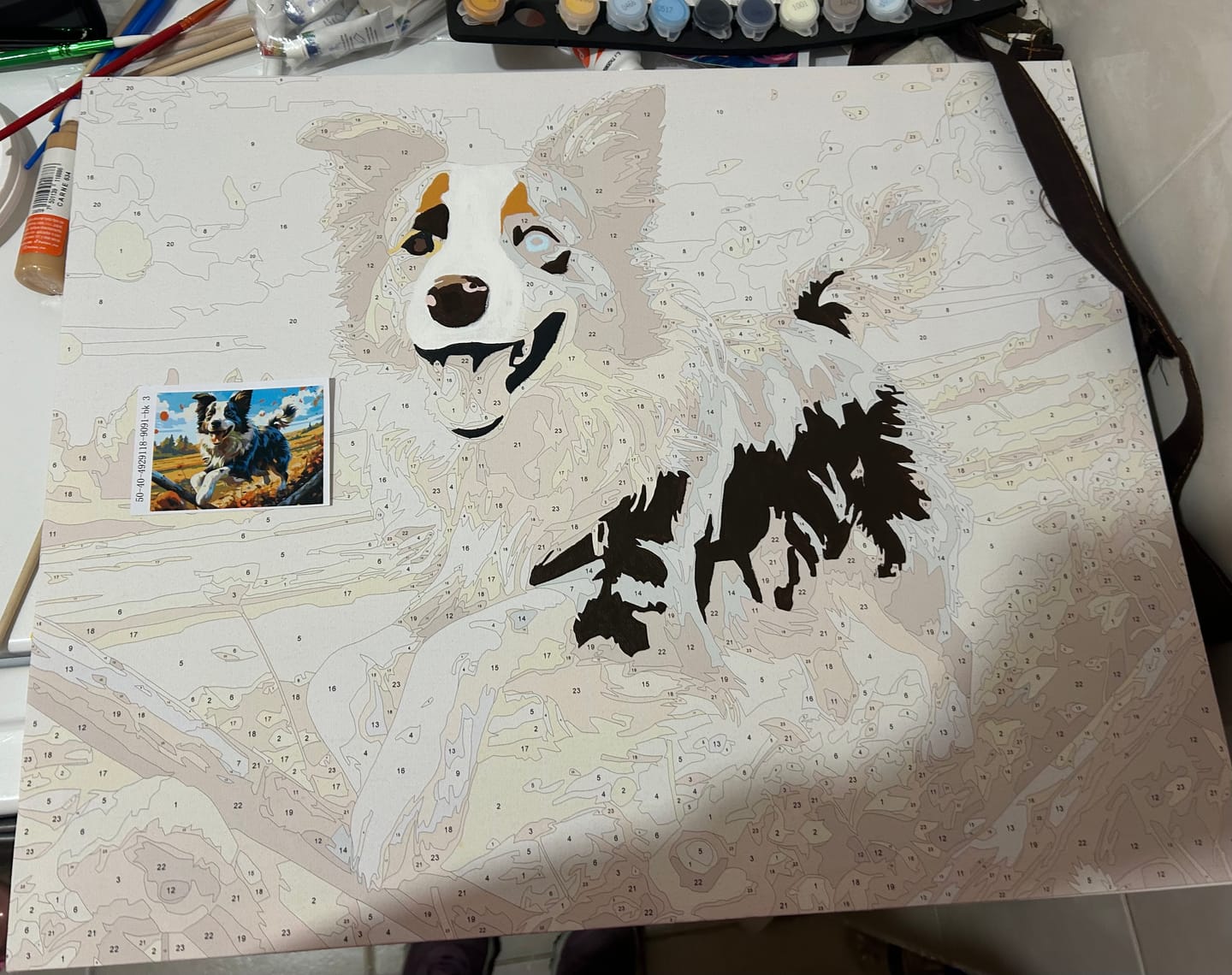 Customer photo review of Border Collie's Tale
