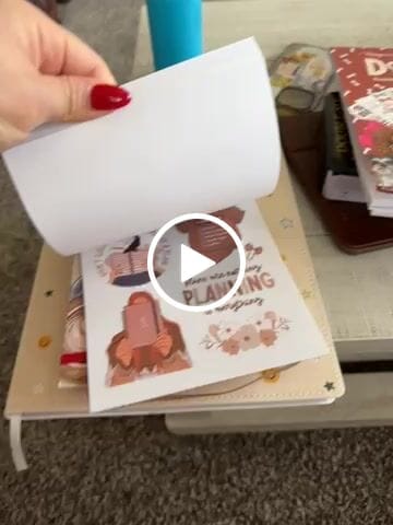 Customer video review of Planner Babe Sticker Book
