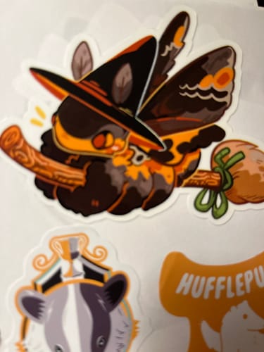 Customer photo review of Moth Witch Stickers