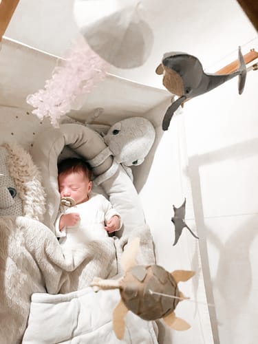 Customer photo review of The Whale