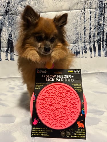 Customer photo review of Slow Feeder - Lick Pad Combo