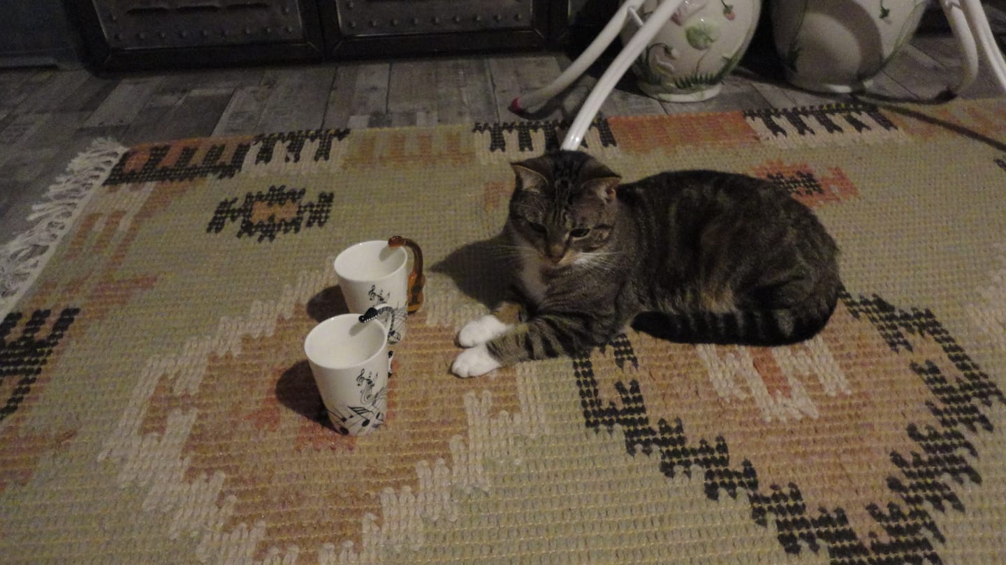 Customer photo review of Originelle Tasse – Gitarre