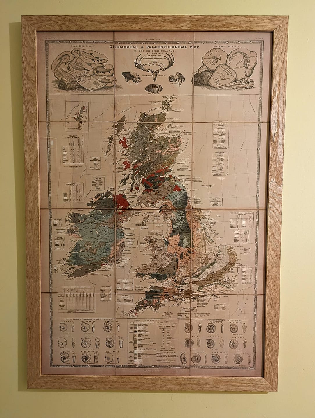 Customer photo review of Old Geology & Fossil Map of the British Isles, 1854, by A.K. Johnston and Edward Forbes - UK, Scotland, Ireland, Palaeontology