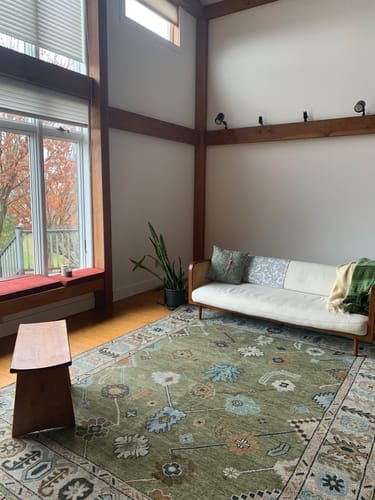 Customer photo review of Moss Green and Silver 8x10 hand Knotted Oushak Wool Area Rug