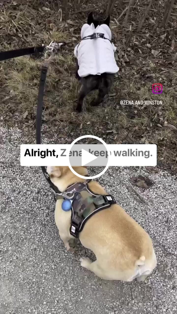 Customer video review of Solace Waterproof Leash