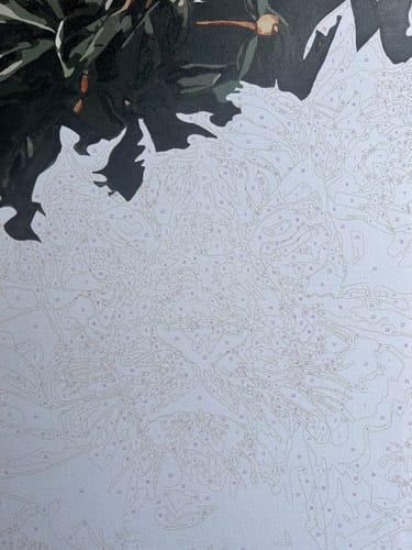 Customer photo review of Animals Bundle X