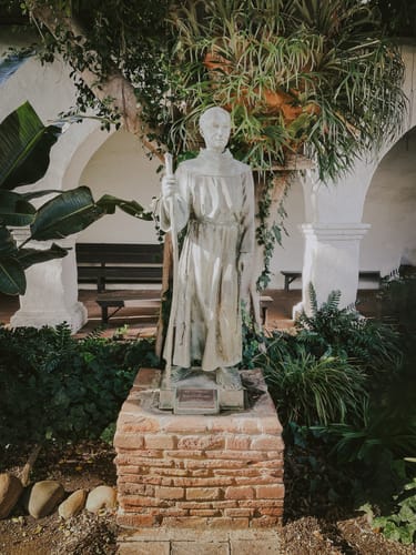 Customer photo review of FOREST ADVENTURE LIGHTROOM PRESETS