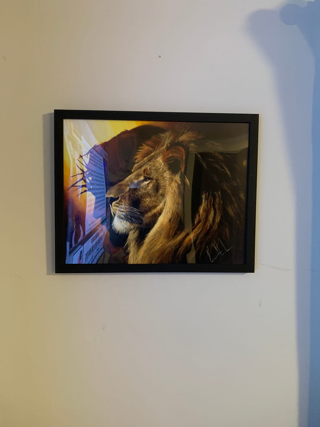 Customer photo review of The Road to Life