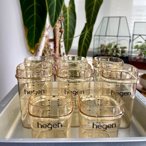 Customer photo review of Hegen PCTO™ 240ml/8oz Feeding Bottle PPSU, 2-Pack with 2 x Medium Flow Nipple (3 to 6 months)